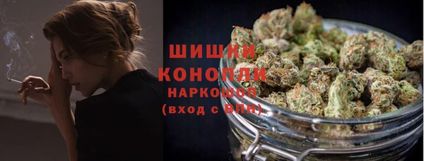 соль ск Кулебаки