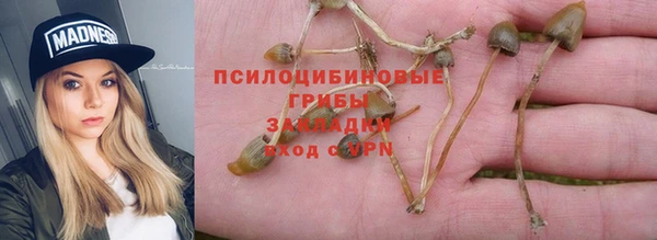 соль ск Кулебаки