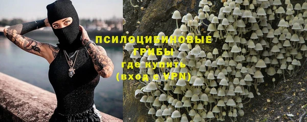 соль ск Кулебаки