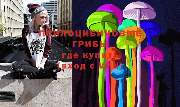 МДПВ Куйбышев