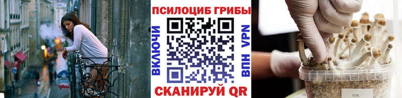 Купить где  Багратионовск  Псилоцибиновые грибы Magic Shrooms 